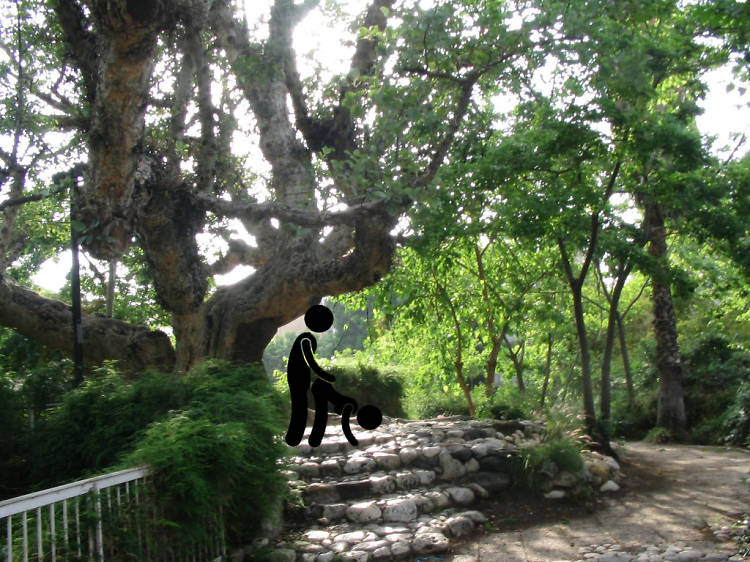 Ya'akov Garden