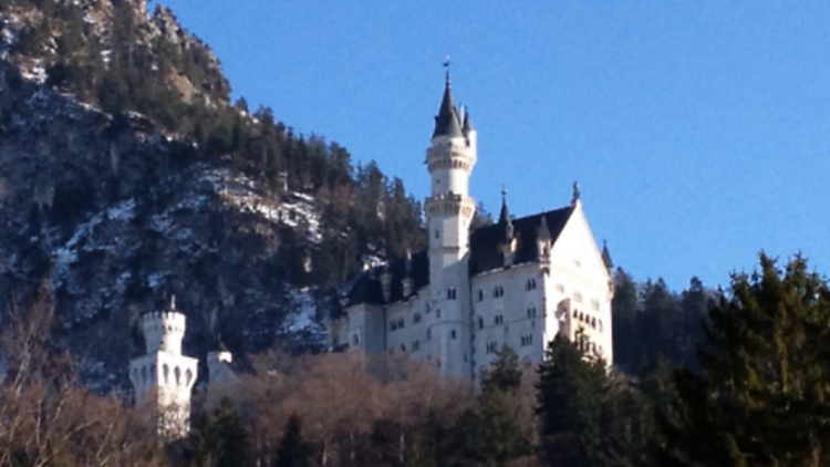 Pure Bavaria Tours