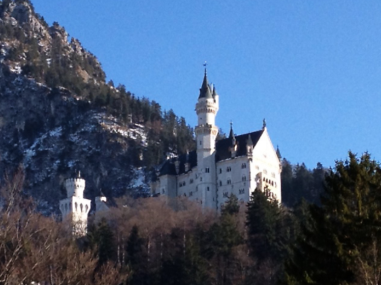 Pure Bavaria Tours