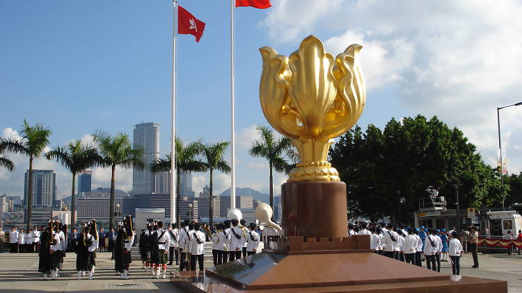 Golden Bauhinia