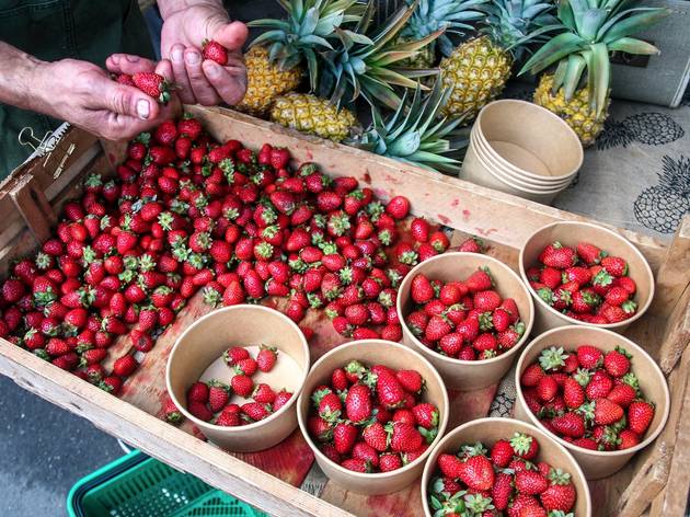 Strawberries at Orange Grove Markets Strawberries at Orange Grove Markets