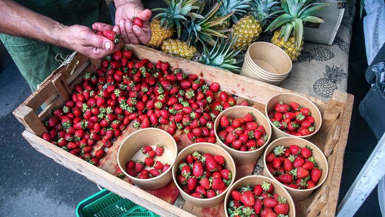 Farmers’ markets