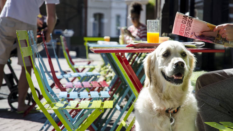 London for Londoners - Outsider Tart, Chiswick