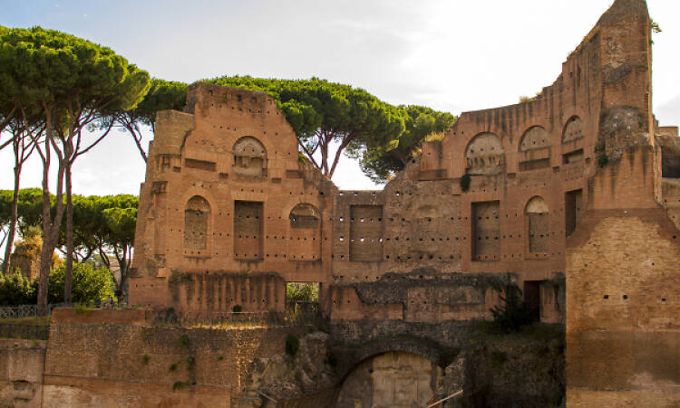 Walks of Italy: Tour the Colosseum and Forum