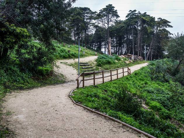 parque fonte das avencas