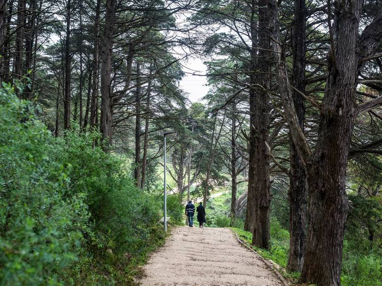 parque fonte das avencas