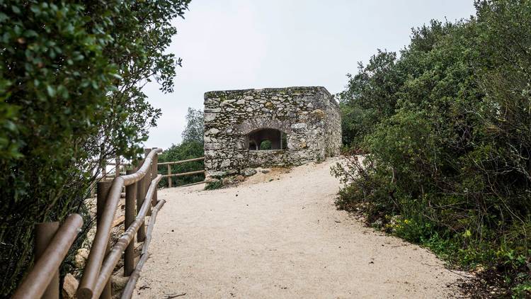 parque fonte das avencas