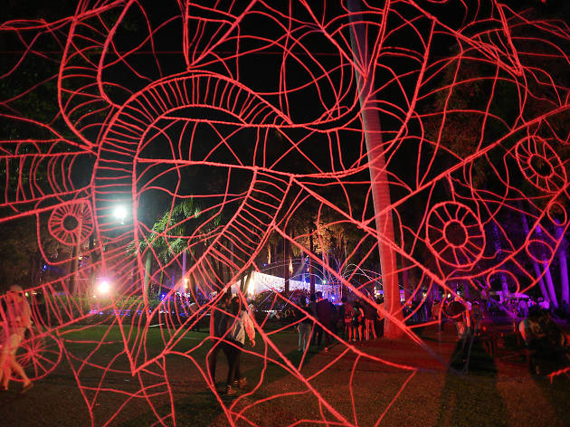 Carnaval de Bahidorá Instalaciones en el Carnaval de Bahidorá