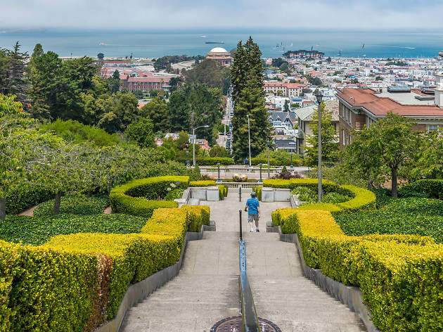 Pacific Heights Pacific Heights