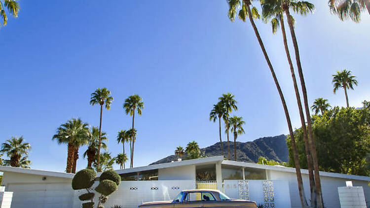 Go on a modernism tour with the Palm Springs Mod Squad