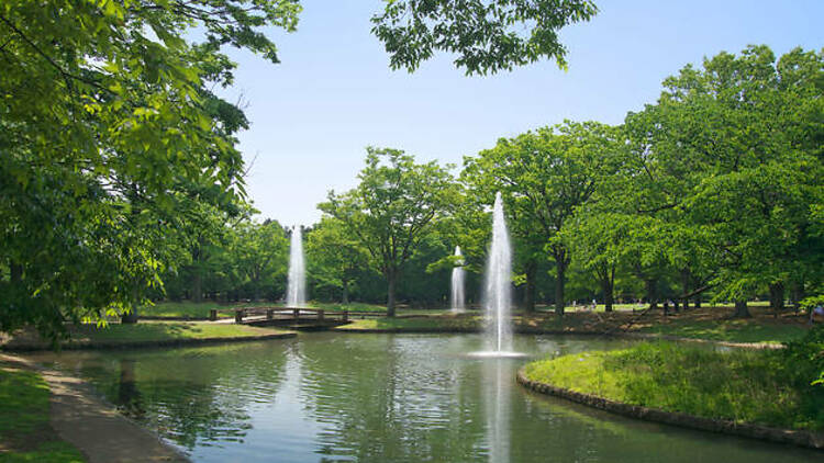 Yoyogi Park