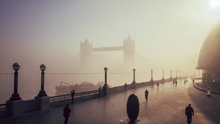 Foggy Towers