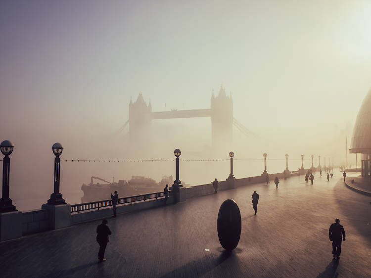 Foggy Towers