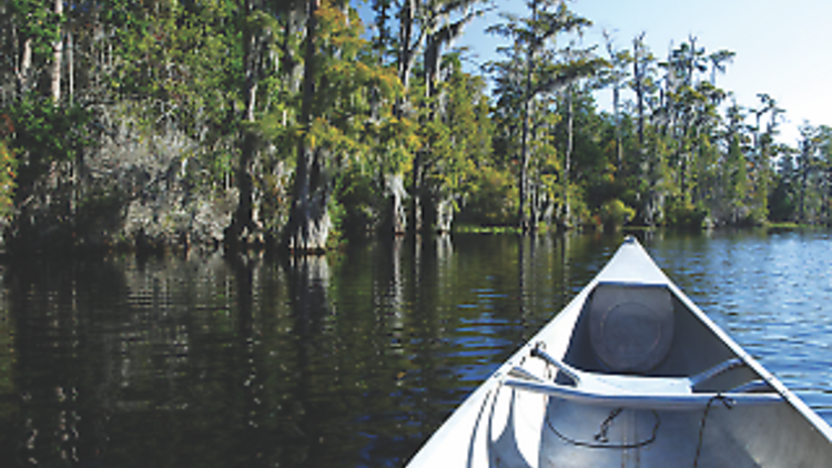 Go back in time on the Bayou Macon Paddling Trail