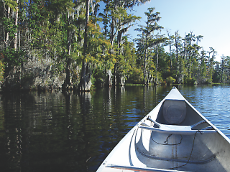 Go back in time on the Bayou Macon Paddling Trail