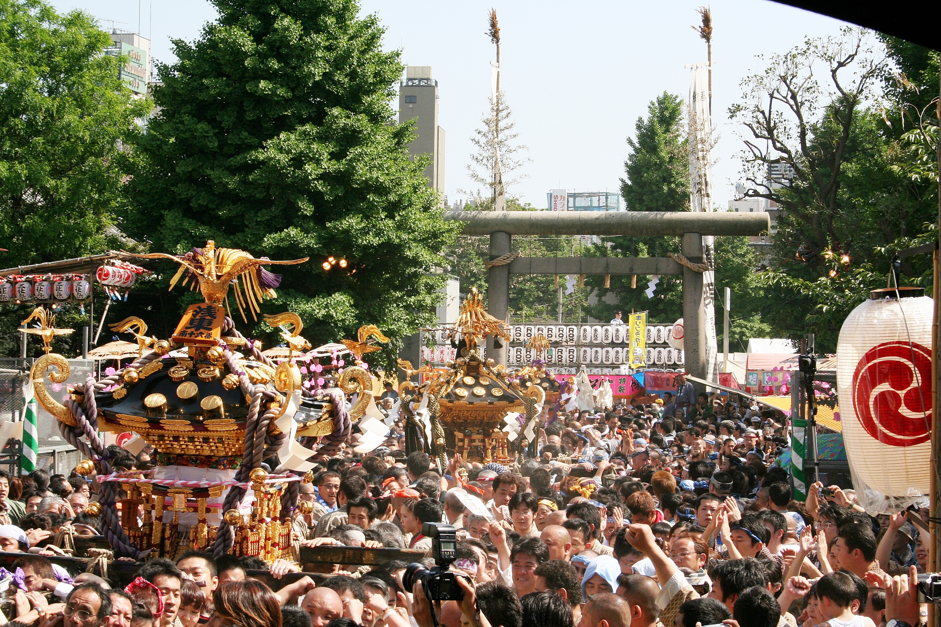 Sanja Matsuri | Things to do in Tokyo