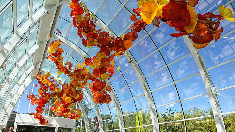 Chihuly Garden and Glass