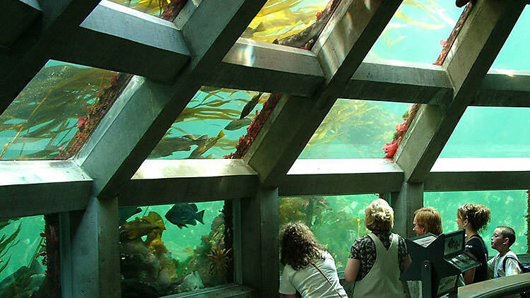 Seattle Aquarium