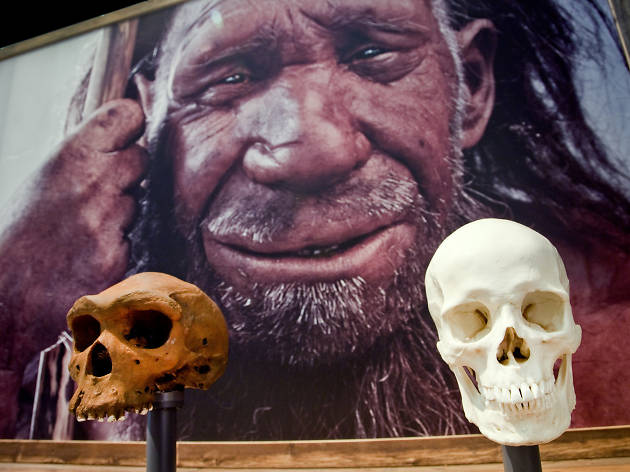 Extinção - O início ou o fim? Extinção - O início ou o fim?