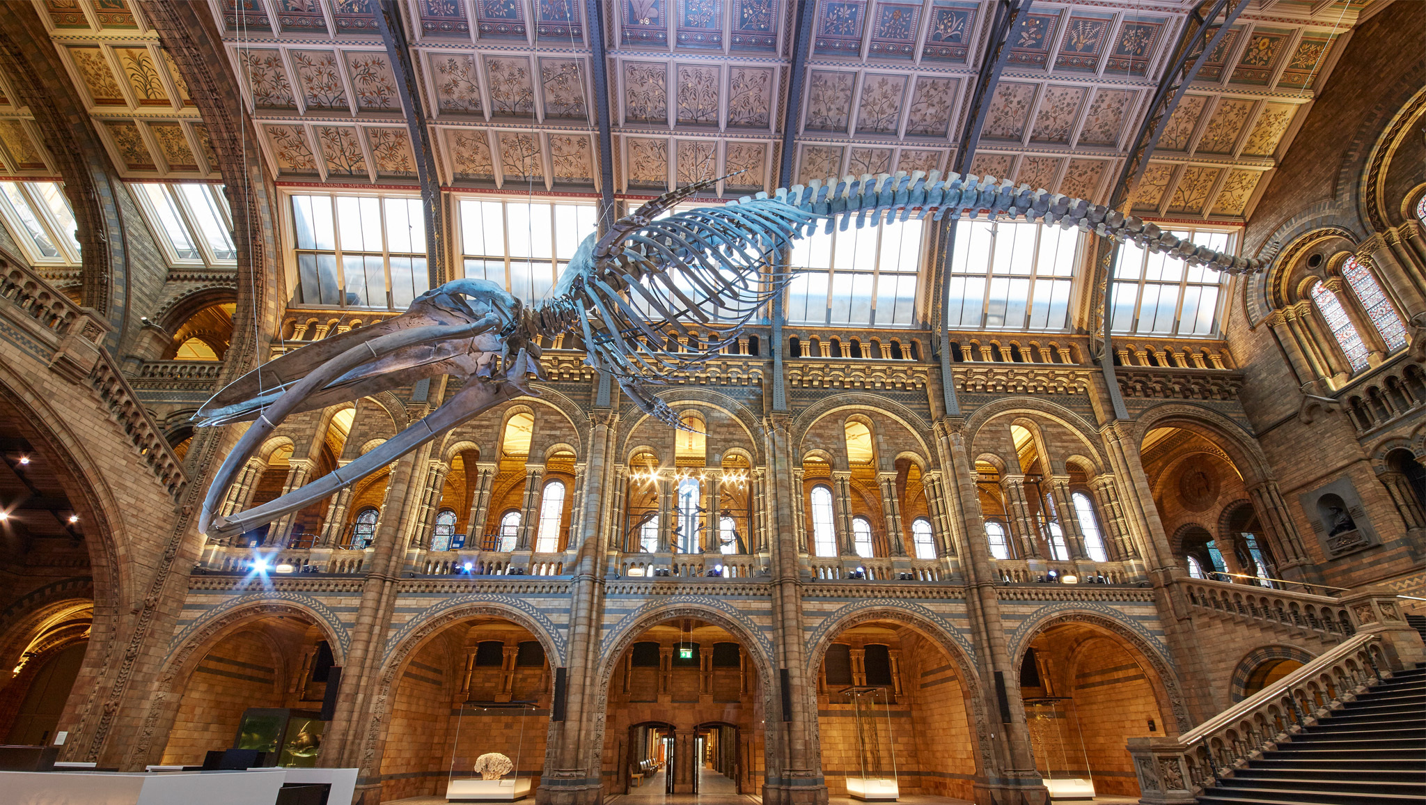 Natural History Museum Museums In South Kensington London