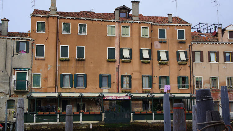 Trattoria, Altanella, Venice, restaurant