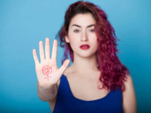 Feminisme, projectes dia de la dona Feminisme, projectes dia de la dona