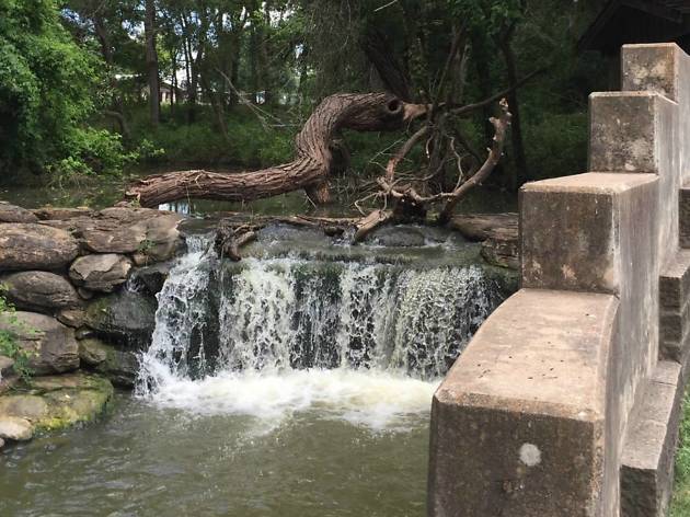 Lockhart State Park Lockhart State Park