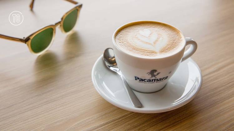 Pacamara Coffee Roasters