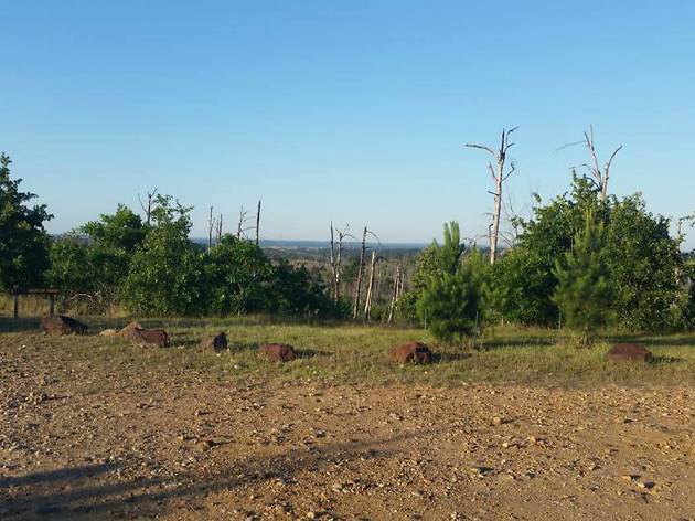 Bastrop State Park Bastrop State Park