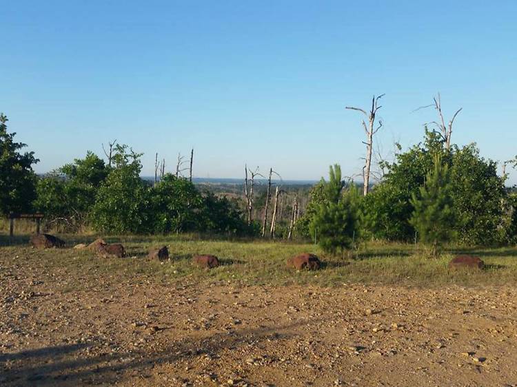 Bastrop State Park