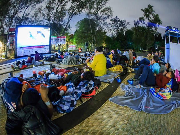 Bosquecinema Bosquecinema en la CDMX