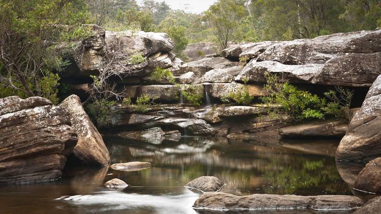 Supplied - Jingga Water Hole at Dharawal