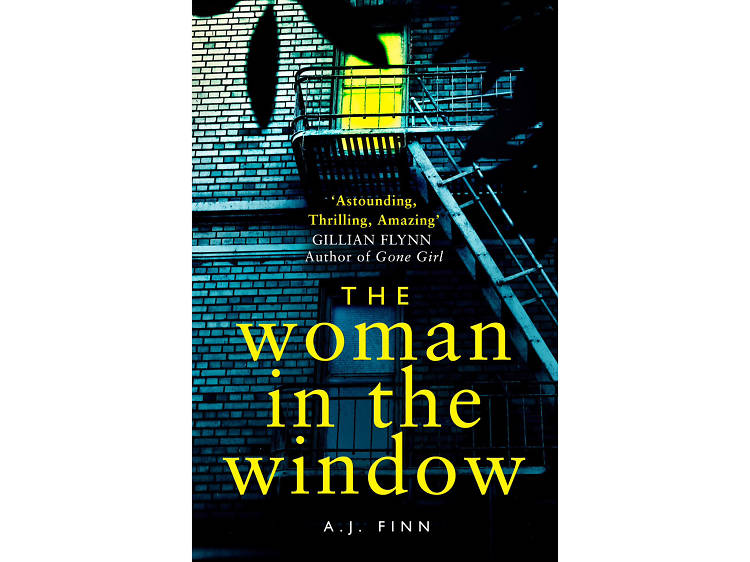 The Woman in the Window by A J Finn