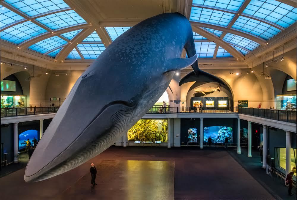 13 Best Kids' Museums in NYC