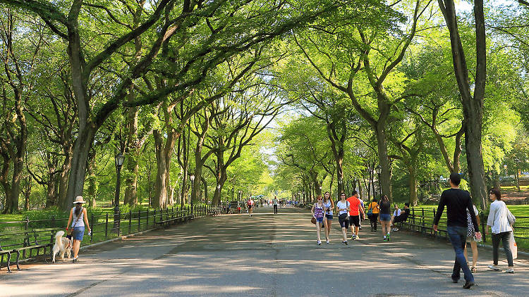 Hike through Central Park