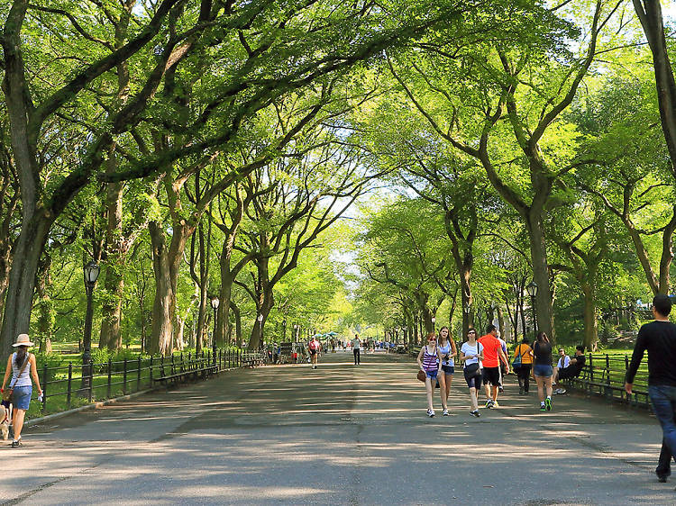 Hike through Central Park