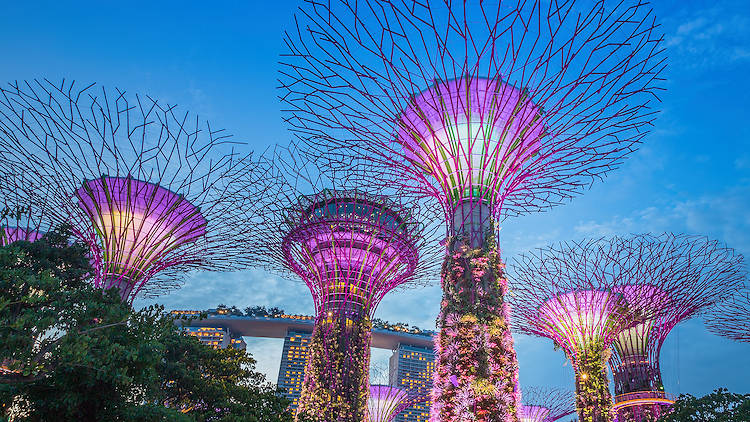 Gardens by the Bay