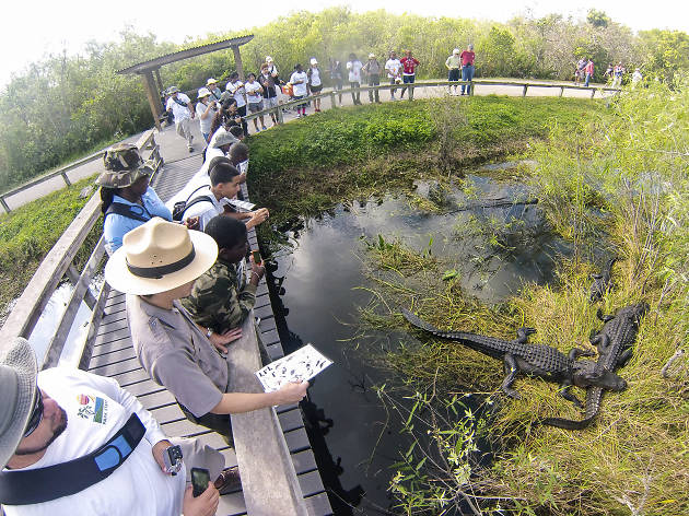 Everglades National Park Everglades National Park