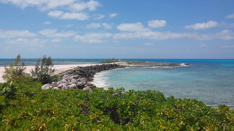 Bimini Islands, Bahamas