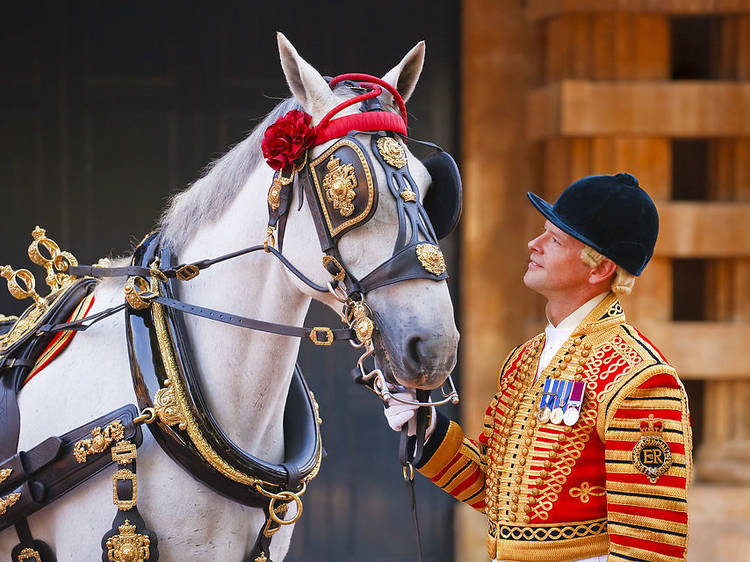 Royal Mews tour