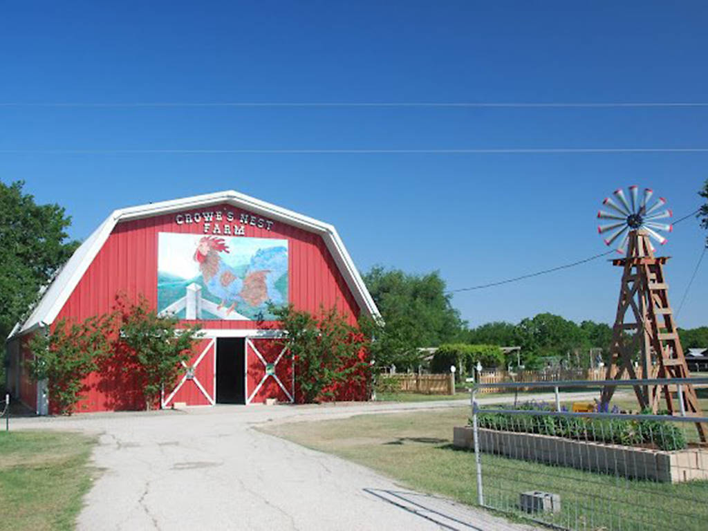 5 Petting Zoos, Animal Farms and Habitats in Austin