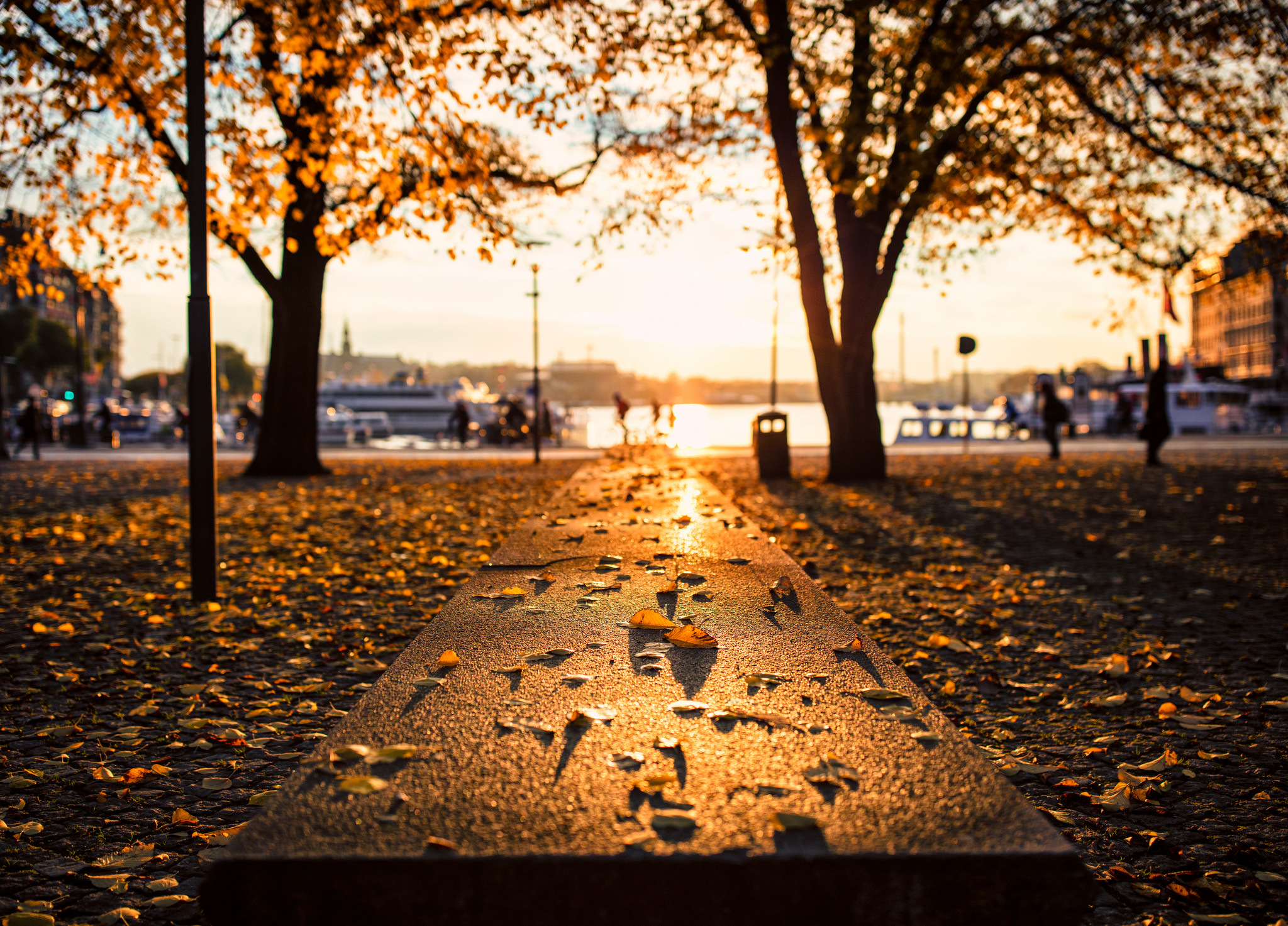 places to visit in stockholm during autumn