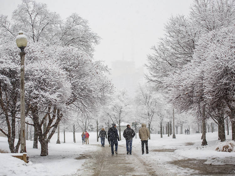 Things to do outdoors this winter in Chicago