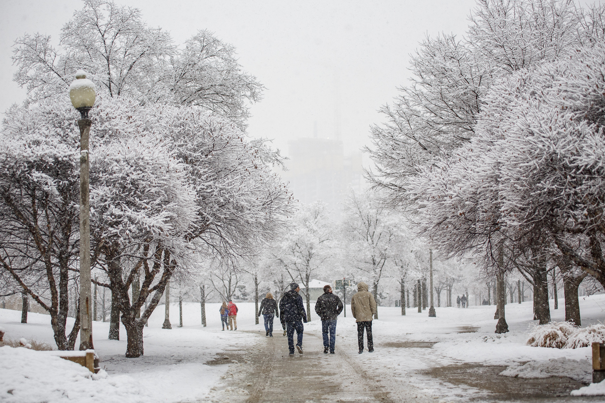 Chicagoans Enjoy Fresh Snow From Winter Storm