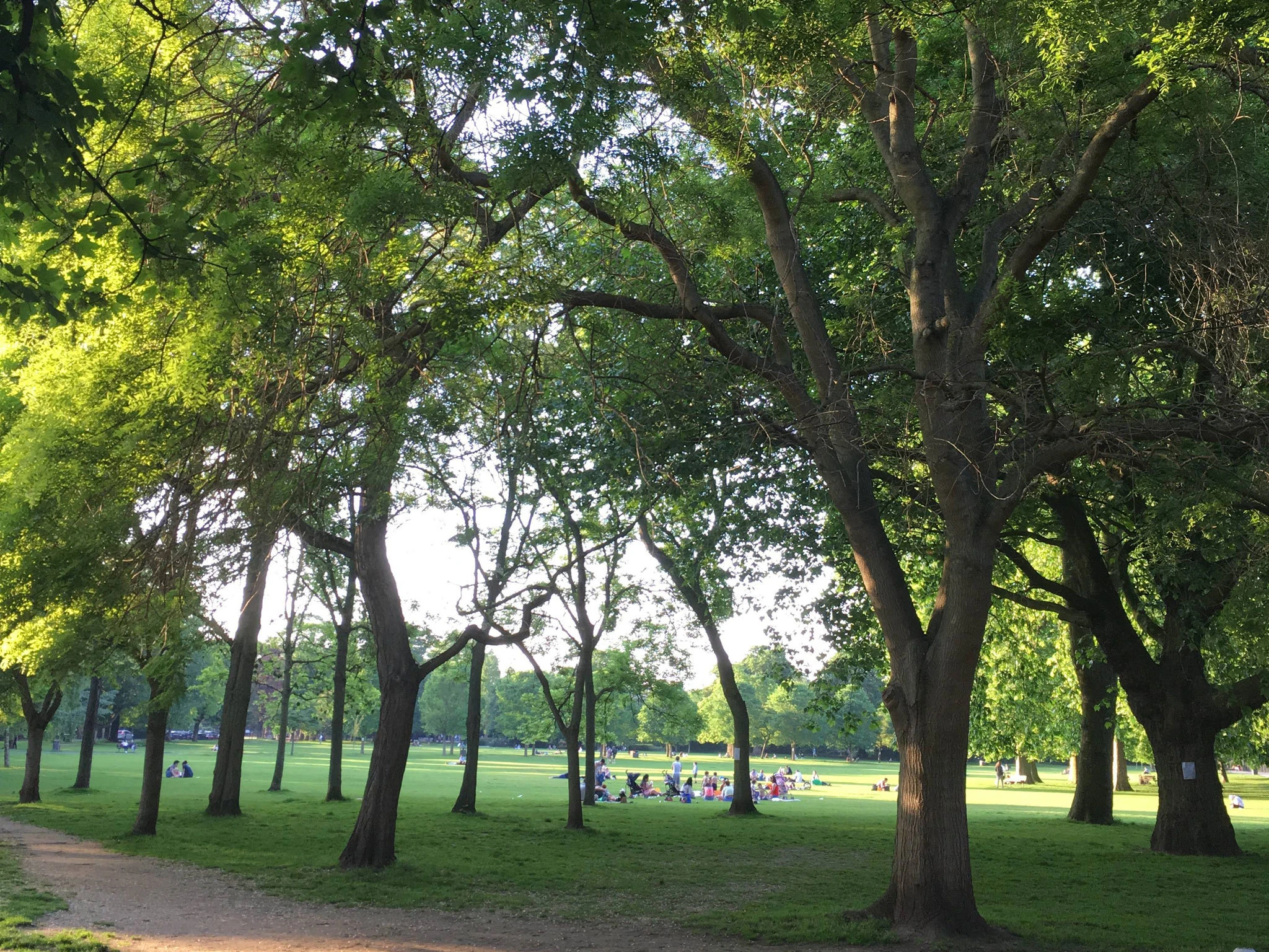 Ravenscourt Park 