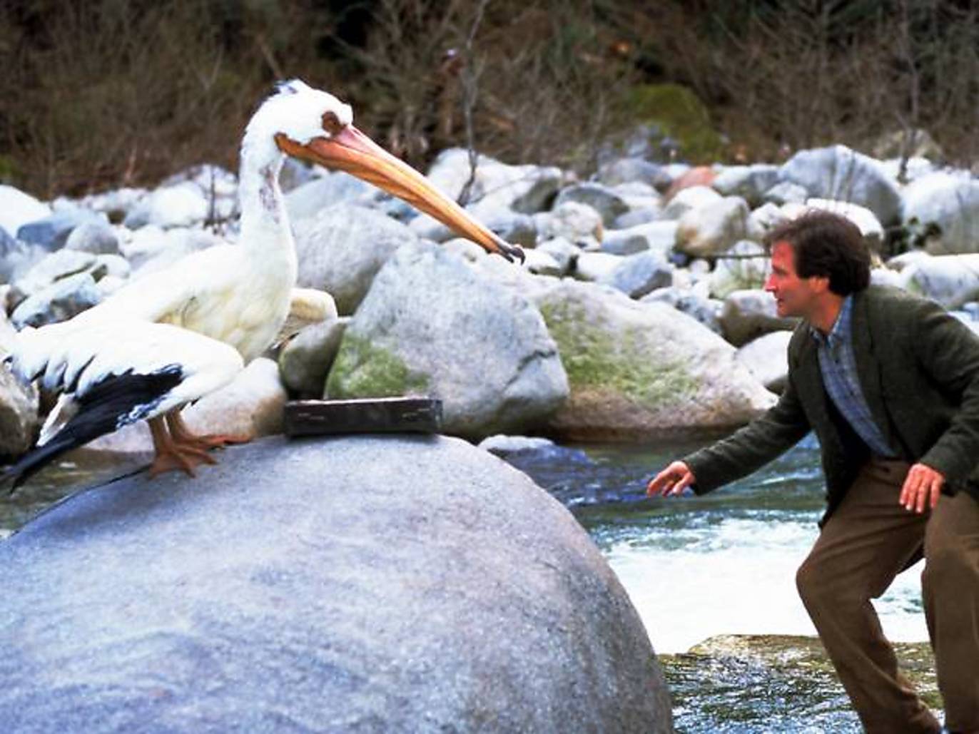 The 50 Best Kids' Movies of All Time - Family Movies
