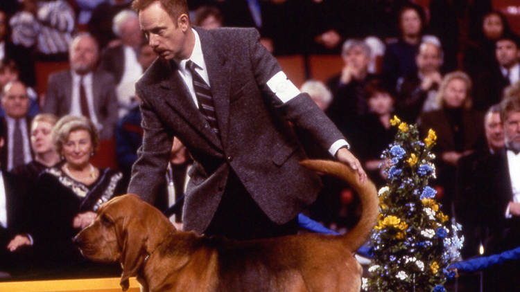 Best in Show (2000)