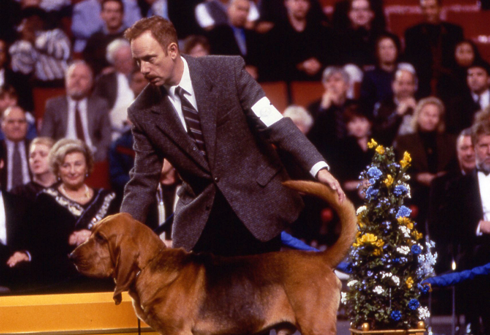 30 Best Animal Movies To Watch As a Family