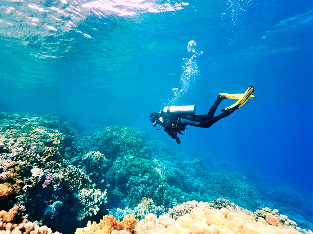 Fer submarinisme Fer submarinisme