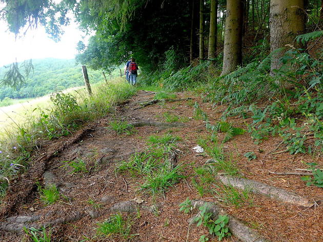 Neanderlandsteig Neanderlandsteig